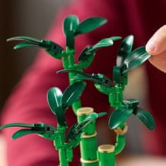 LEGO Botanicals 10344 Bambus štěstí