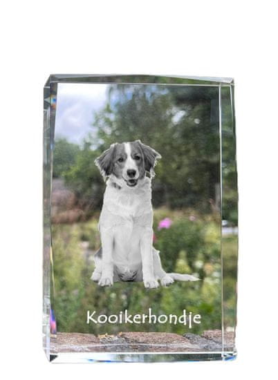 Artdog Kooikerhondje - krystal s fotkou psa, foto ve skle, moderní výstava fotek od Art-Dog