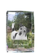 Artdog Parson Russell Terrier - krystal s fotkou psa, foto ve skle, moderní výstava fotek Art-Dog