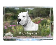 Artdog Argentinský pes, Dogo Argentino - křišťál s fotkou psa, foto ve skle, moderní výstava fotografií Art-Dog