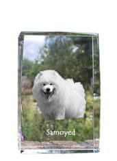 Artdog Samojed, Samojed, Samojedskaja - krystal s fotkou psa, foto ve skle, moderní výstava fotek Art-Dog