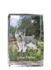 Artdog Cairn Terrier - krystal s fotkou psa, foto ve skle, moderní výstava fotografií značky Art-Dog