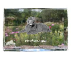 Artdog Newfoundland, Newfoundland, Wodołaz - krystal s fotkou psa, foto ve skle, moderní výstava fotografií značky Art-Dog