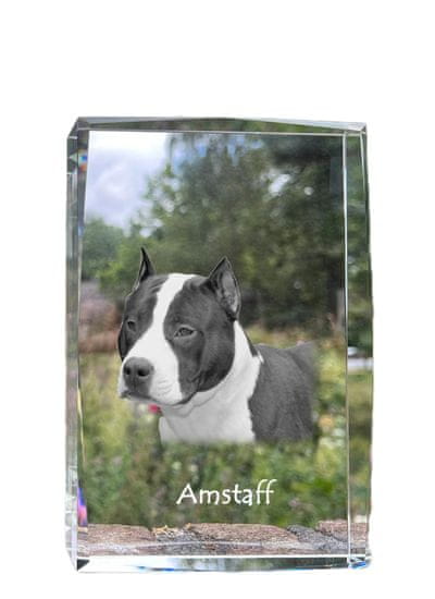 Artdog Americký stafordšírský teriér, Amstaff, Amstaf - krystal s fotkou psa, foto ve skle, moderní výstava fotografií Art-Dog