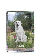 Artdog Kuvasz - krystal s fotkou pejska, foto ve skle, moderní výstava fotografií značky Art-Dog