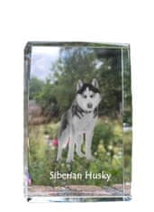 Artdog Sibiřský husky, Sibiřský husky - křišťál s fotkou psa, foto ve skle, moderní výstava fotografií Art-Dog