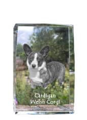 Artdog Cardigan Welsh Corgi I - křišťál s fotkou psa, foto ve skle, moderní výstava fotek Art-Dog