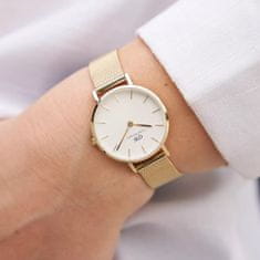 Daniel Wellington Dámské analogové hodinky Petite Evergold zlatá One size