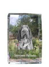 Artdog Italský drátosrstý ohař, Spinone italiano - krystal s fotkou psa, foto ve skle, moderní výstava fotografií Art-Dog