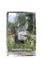 Artdog Australský ovčák kelpie - krystal s fotkou psa, foto ve skle, moderní výstava fotek Art-Dog