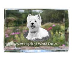 Artdog West Highland White Terrier, Westie - krystal s fotkou psa, foto ve skle, moderní výstava fotek Art-Dog