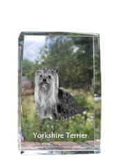 Artdog Yorkshirský teriér, York, York, Yorkie - krystal s fotkou psa, foto ve skle, moderní výstava fotek Art-Dog