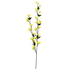 Dommio Forsythia - zlatý déšť 70 cm