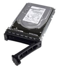 DELL Dell/2TB/HDD/3.5"/SATA/7200 RPM/1R