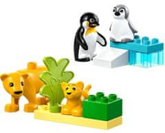 LEGO DUPLO 10442 Rodinky divokých zvířat: Tučňáci a lvi