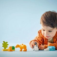 LEGO DUPLO 10442 Rodinky divokých zvířat: Tučňáci a lvi