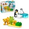 DUPLO 10442 Rodinky divokých zvířat: Tučňáci a lvi