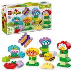 LEGO DUPLO 10444 Kreativní zahrada a květiny