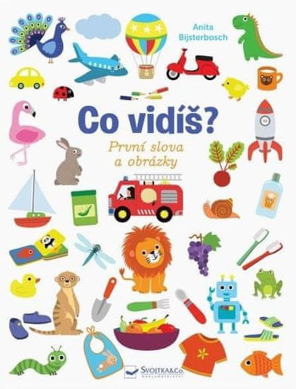 Svojtka & Co. Co vidíš? První slova a obrázky