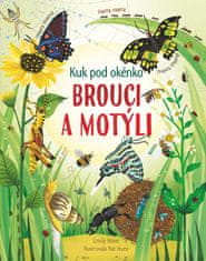 Svojtka & Co. Kuk pod okénko: Brouci a motýli