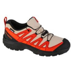 Salomon Boty Xa Pro V8 Cswp velikost 40