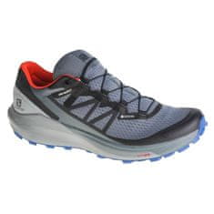 Salomon Boty Sense Ride 4 Gtx velikost 48