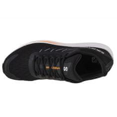 Salomon Boty Spectur velikost 47 1/3