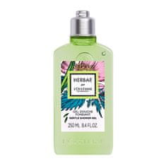 LOccitane EnProvence Sprchový gel Herbae (Shower Gel) 250 ml