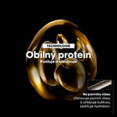 Loreal Professionnel Intenzivně regenerační maska pro poškozené vlasy Serie Expert Absolut Repair Gold Quinoa + Protein ( (Objem 250 ml)