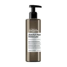 Sérum pro poškozené vlasy Absolut Repair Molecular (Professional Rinse-Off Serum) 250 ml