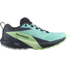 Salomon boty Sense Ride 5 Gtx 472160