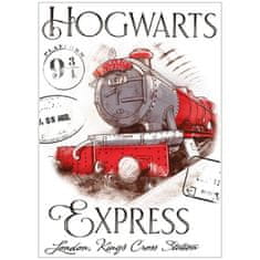 Carbotex Dětský ručník Harry Potter - Bradavický Express