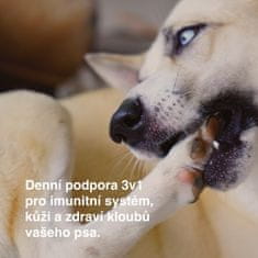 DogBarKode Pokročilý každodenní doplněk stravy pro psy, psí pamlsky, podporují imunitní systém, klouby a kůži, konopí, glukosamin a probiotika, lahodný pamlsek pro všechny psy, 30 kusů, MultiChew