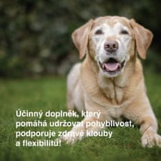 DogBarKode Doplňky stravy pro psy, měkké psí pamlsky na klouby a pohyblivost, glukosamin, chondroitin a zelená mušle, přírodní podpora pro všechny psy, 30 měkkých žvýkacích pamlsků, MobilityChew