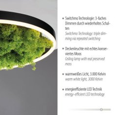 PAUL NEUHAUS LEUCHTEN DIREKT is JUST LIGHT LED stropní svítidlo 40x40 Island Moos Switchmo 3 krokové stmívání krokově stmívatelné 3000K LD 15391-66