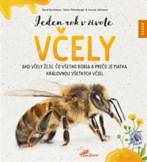 Jeden rok v živote včely - Ako včely žijú, čo všetko robia a prečo je matka kráľovnou všetkých včiel