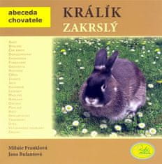 Robimaus Králík zakrslý - Abeceda chovatele