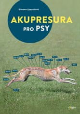 Akupresura pro psy