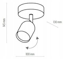 TK Lighting Černo-zlaté stropní svítidlo Jednoduché bodové svítidlo pro povrchovou montáž