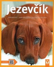 Jezevčík - Jak na to