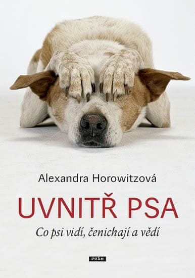 Práh Uvnitř psa - Co psi vidí, čenichají a vědí