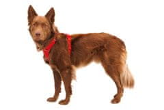 Ruffwear Front Range Postroj pro psy Red Canyon XS