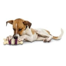 PetSafe Bristle Bone L