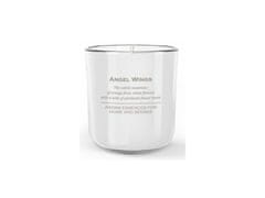 NOHEL GARDEN Bartek Candles Vonná svíčka ve skle 150 g Angel Wings