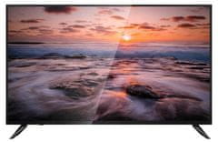 Dahua 43" LED LM43-F200/ IPS panel/ 1920x1080 (FHD)/ 1200:1/ 8ms/ 330 cd/m2/ HDMI/ VGA/ USB/ REPRO/ VESA 400x200/ černý