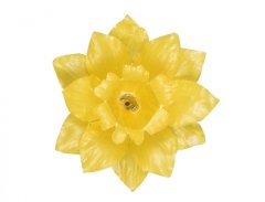 Květ voskový NARCIS 10cm