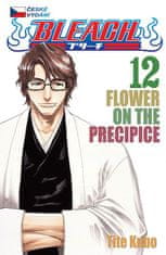 Tite Kubo: Bleach 12 - Flower on the Precipice