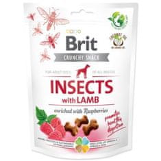 Brit Pochoutka Care Dog Crunchy Cracker Insects, jehně a maliny 200g