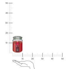 Intesi vonná svíčka Nina Forest Fruits 510 g