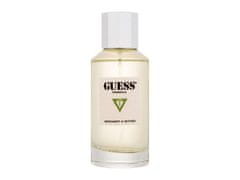 Guess 100ml originals bergamot & vetiver, parfémovaná voda